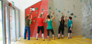 training therapeutical climbing